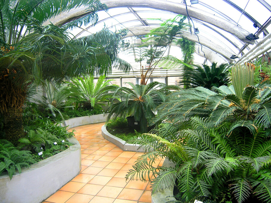 Ogród Botaniczny Uniwersytetu Masaryka w Brnie