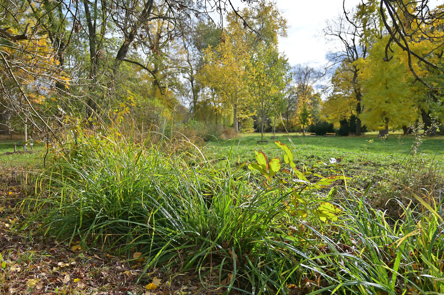 Park Lužánky w Brnie