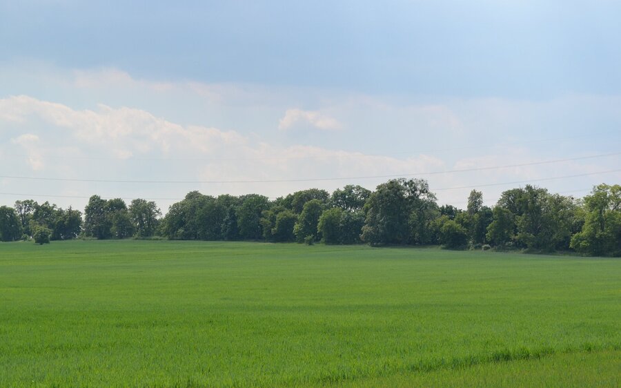 Ścieżki rowerowe i piesze wokół Valtic