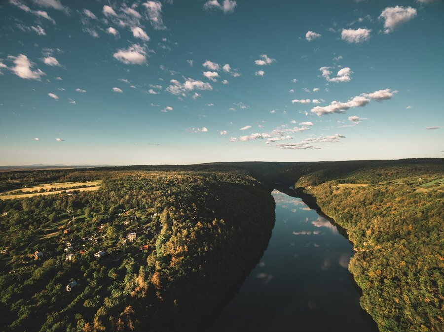 Meander rzeki Dyje widziany z góry, otoczony lasem